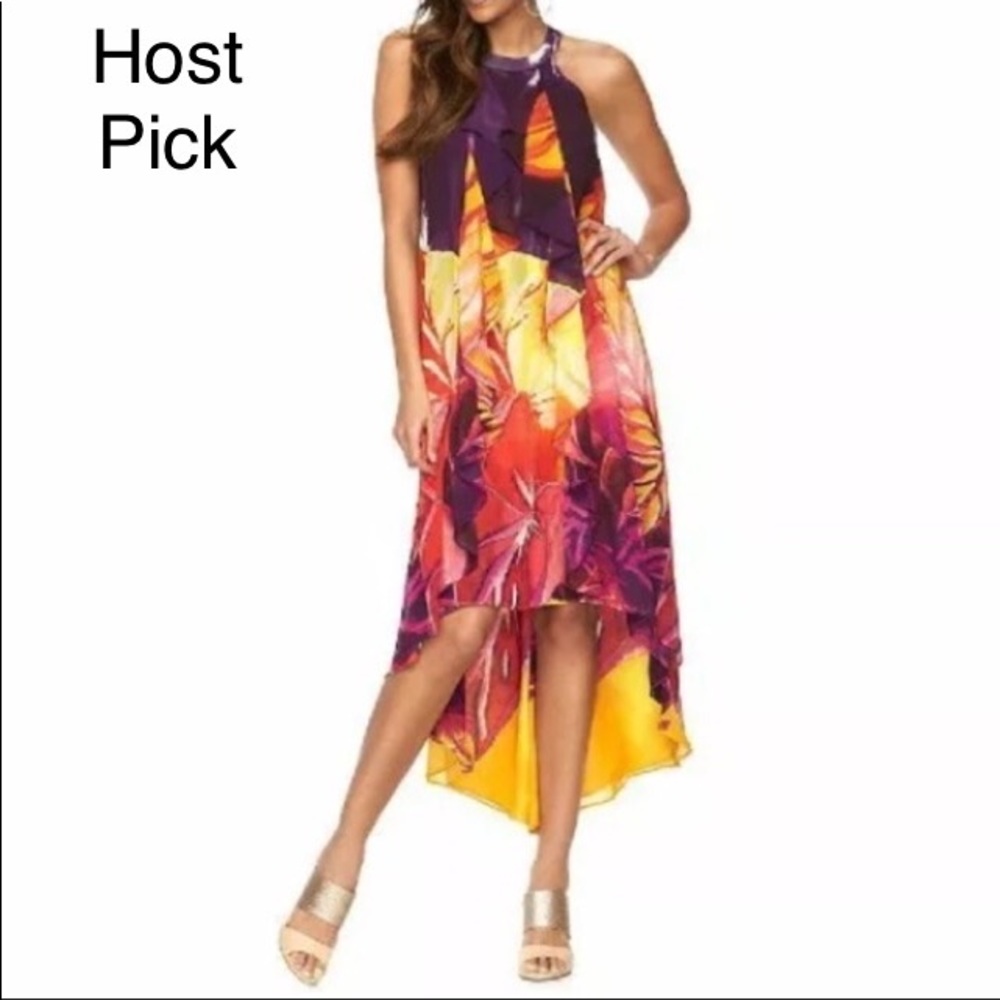🎉HP🎉NWOT Jennifer Lopez Purple/Gold RuffleDress